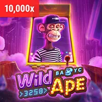 Các biện pháp kỹ thuật và tổ chức để bảo vệ dữ liệu tại 123bet login